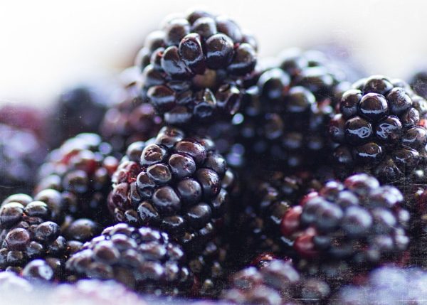 blackberries