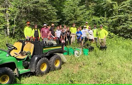 tree planting